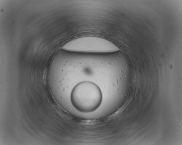 X0000085300082200703091130