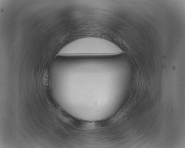 X0000085300083200703091130