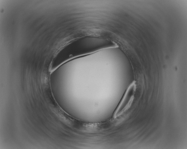 X0000085300084200703091130