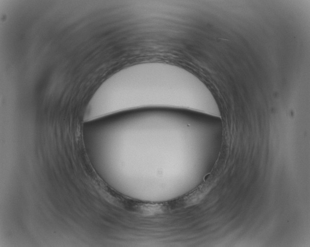 X0000085300085200703091130