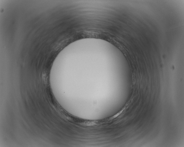 X0000085300086200703091130