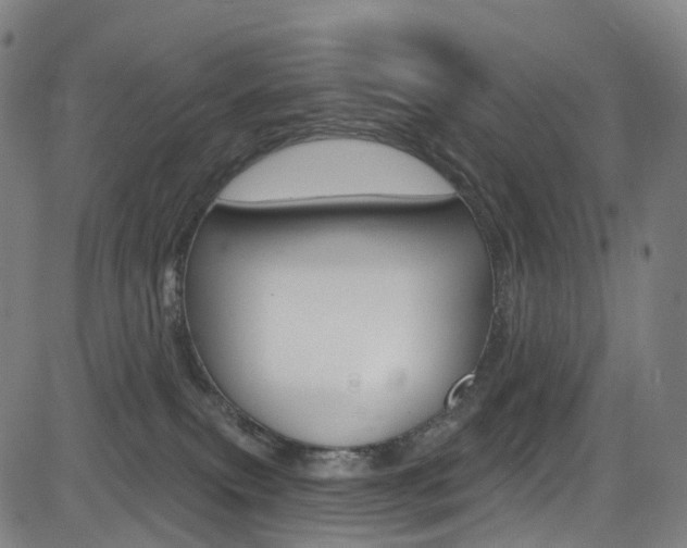 X0000085300087200703091130