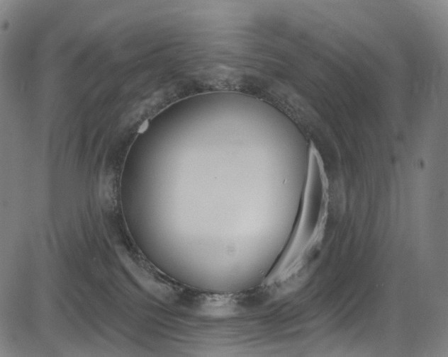 X0000085300088200703091130