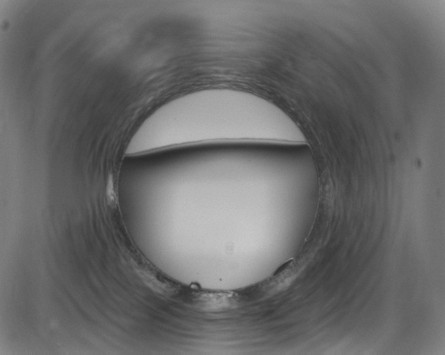 X0000085300089200703091130