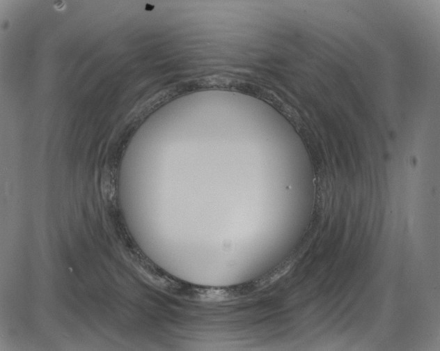 X0000085300091200703091130