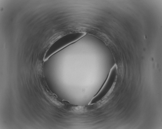 X0000085300092200703091130