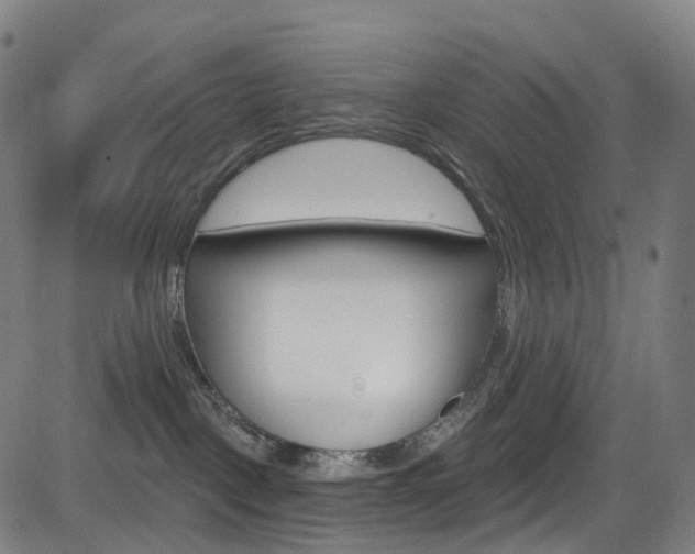 X0000085300093200703091130