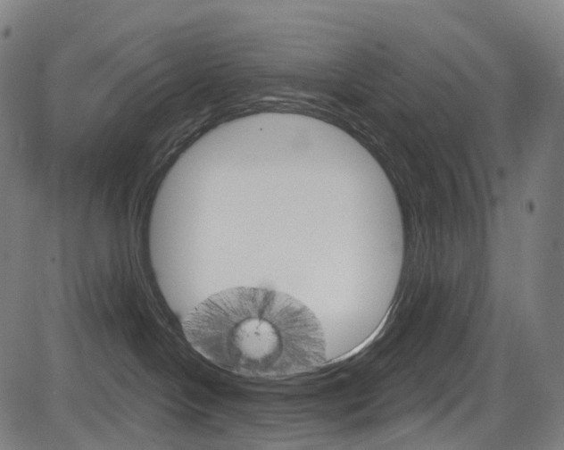 X0000085300094200703091130