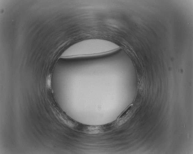 X0000085300095200703091130