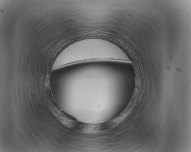 X0000085300096200703091130