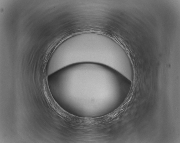 X0000085300097200703091130