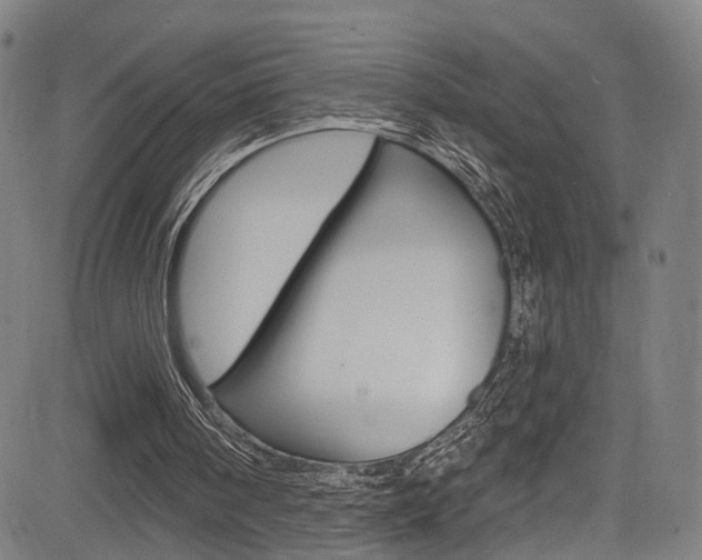 X0000085300098200703091130