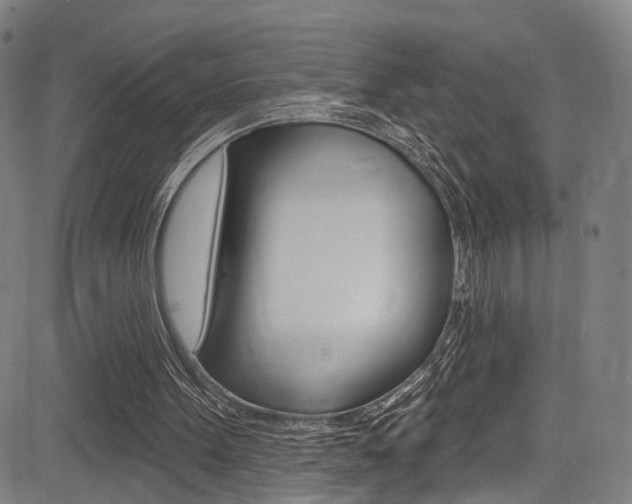 X0000085300099200703091130