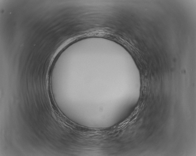 X0000085300100200703091130