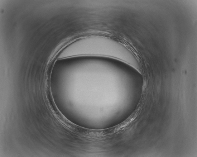 X0000085300101200703091130