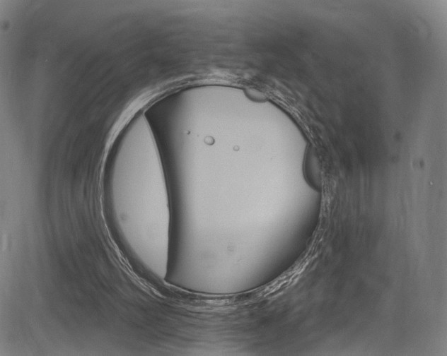 X0000085300102200703091130