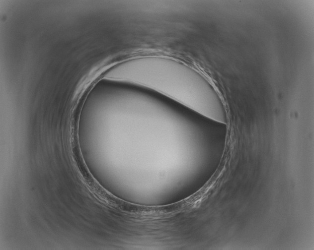 X0000085300103200703091130