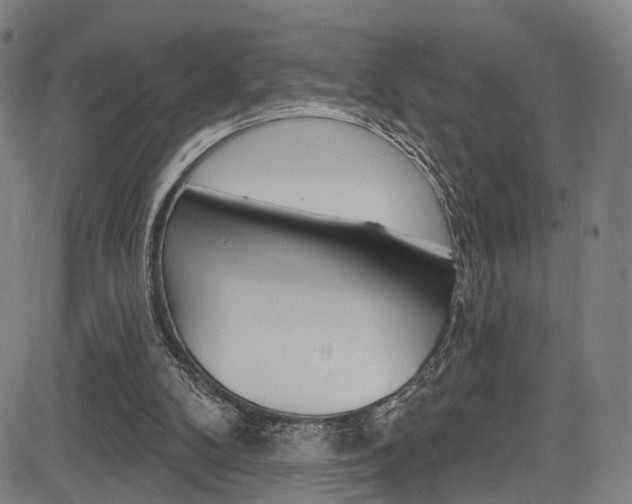 X0000085300104200703091130