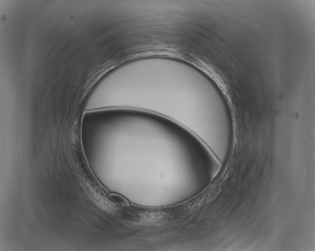 X0000085300105200703091130