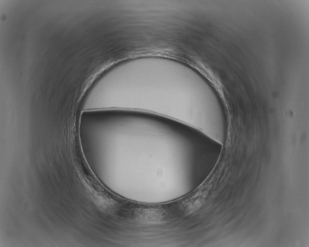 X0000085300107200703091130