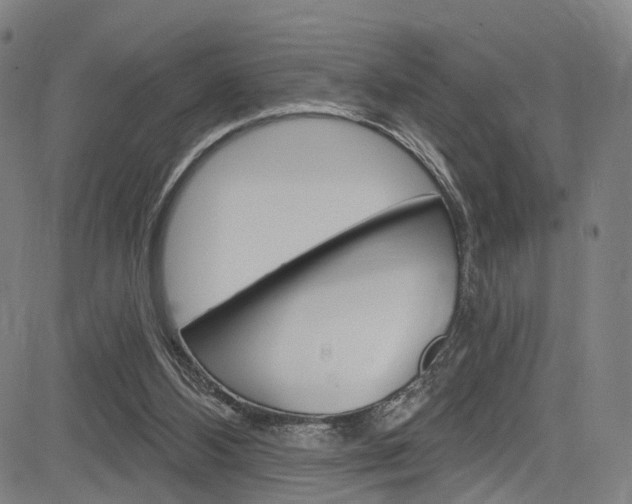 X0000085300108200703091130