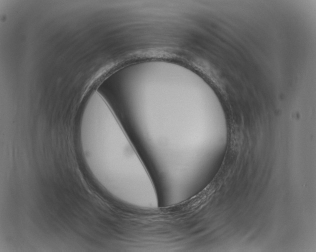 X0000085300111200703091129