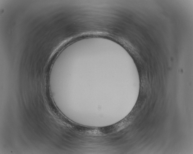 X0000085300112200703091129