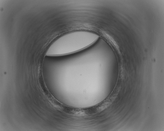 X0000085300113200703091129