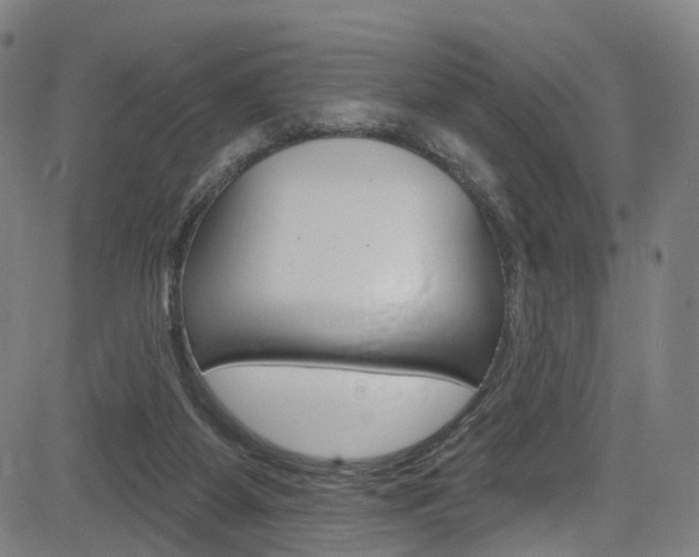 X0000085300115200703091129
