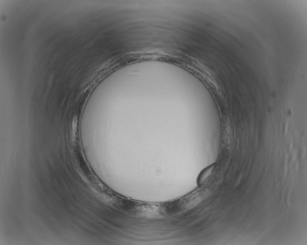 X0000085300118200703091129