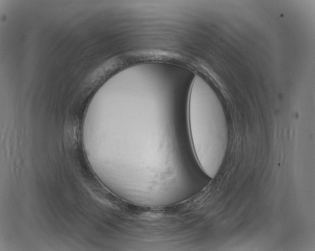 X0000085300119200703091129