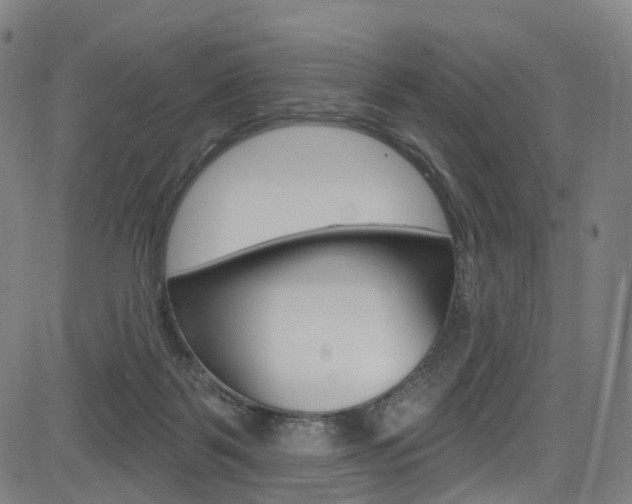 X0000085300123200703091129