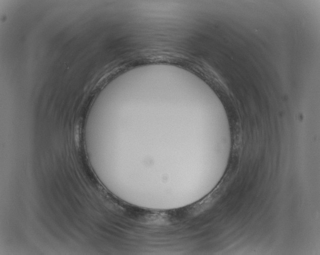 X0000085300124200703091129