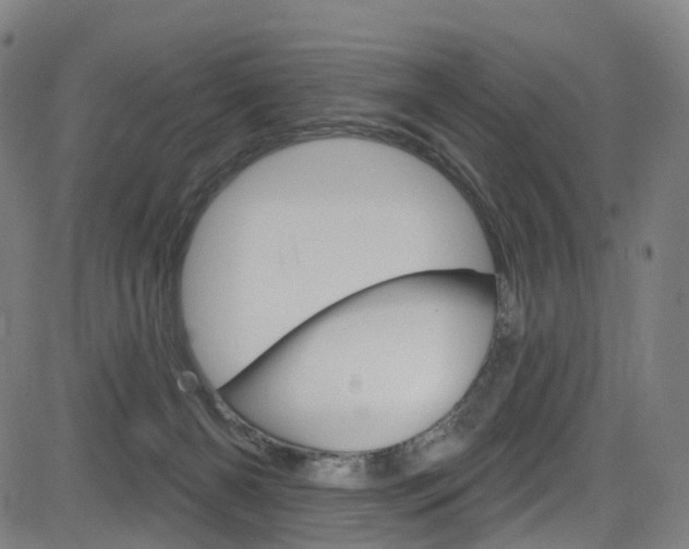 X0000085300126200703091129