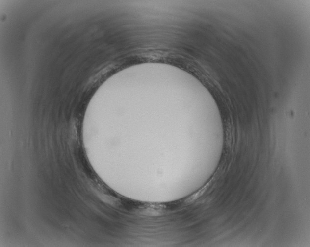 X0000085300128200703091129