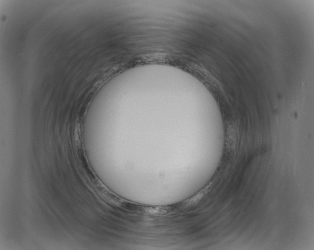 X0000085300130200703091129
