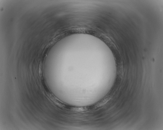 X0000085300131200703091129