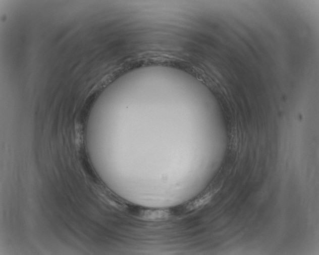 X0000085300135200703091129