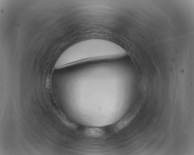 X0000085300137200703091129