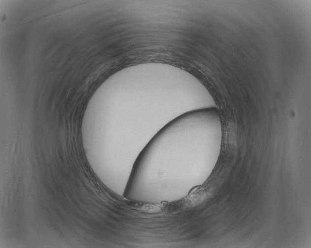 X0000085300138200703091129