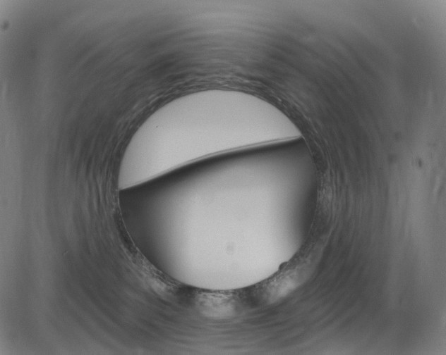 X0000085300139200703091129