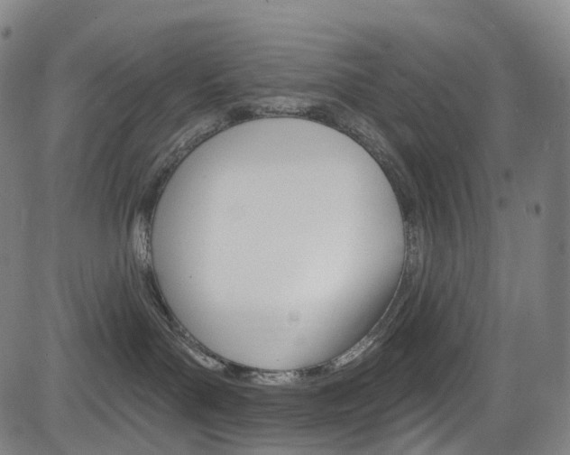 X0000085300143200703091129