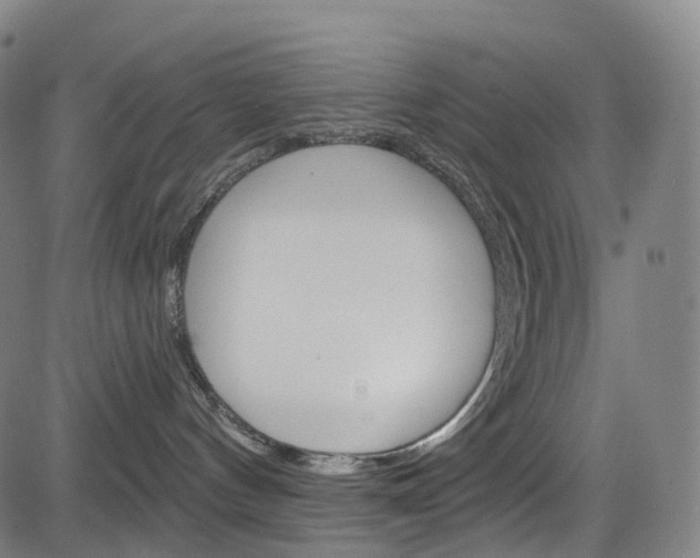 X0000085300144200703091129