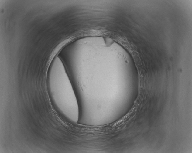 X0000085300147200703091128