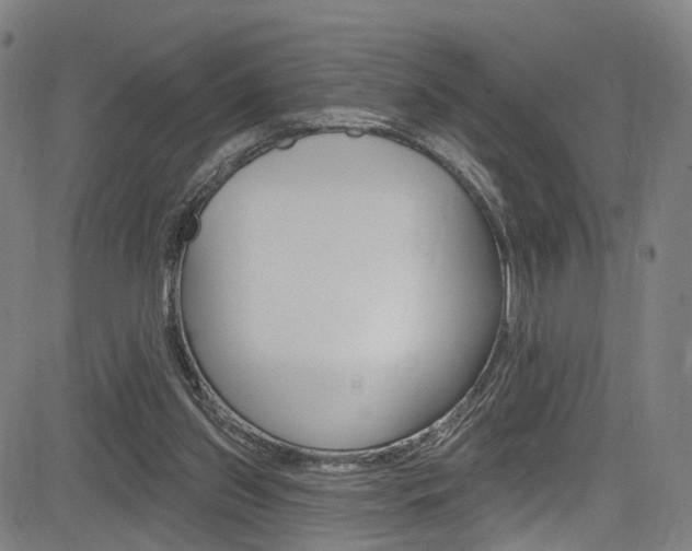 X0000085300157200703091128