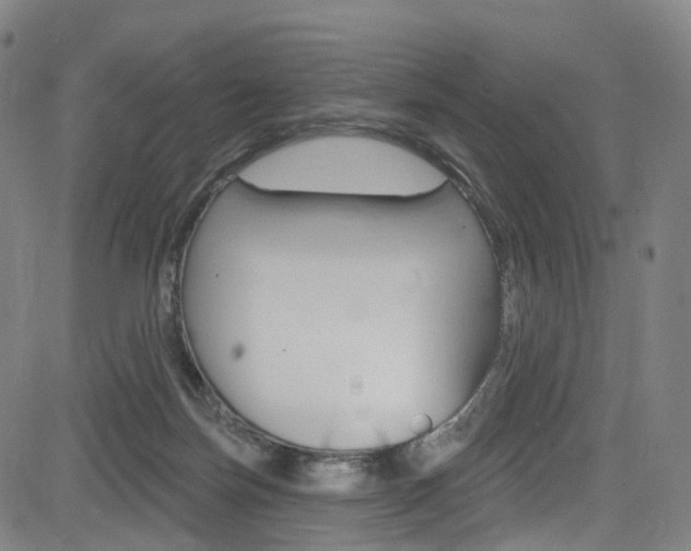 X0000085300171200703091129