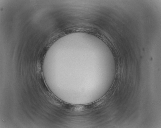 X0000085300173200703091129