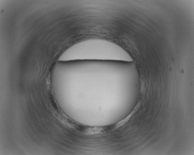 X0000085300179200703091129