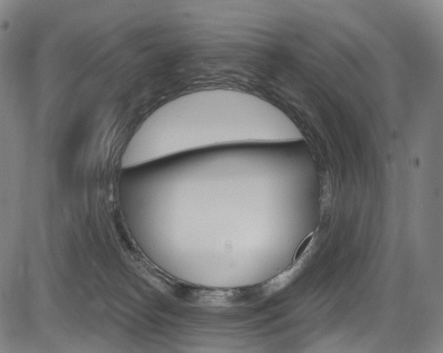 X0000085300182200703091129