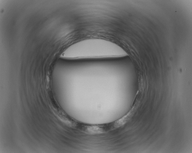 X0000085300183200703091129